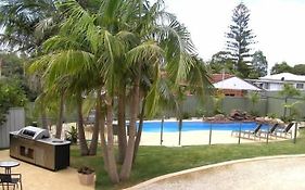 Koala Tree Motel